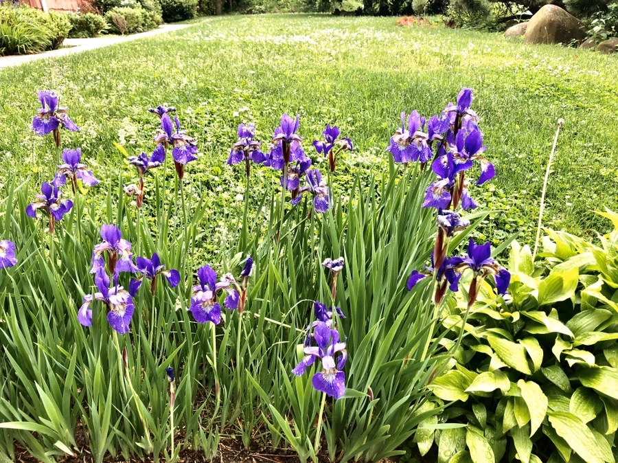 IMG_7538.jpg?type=w966