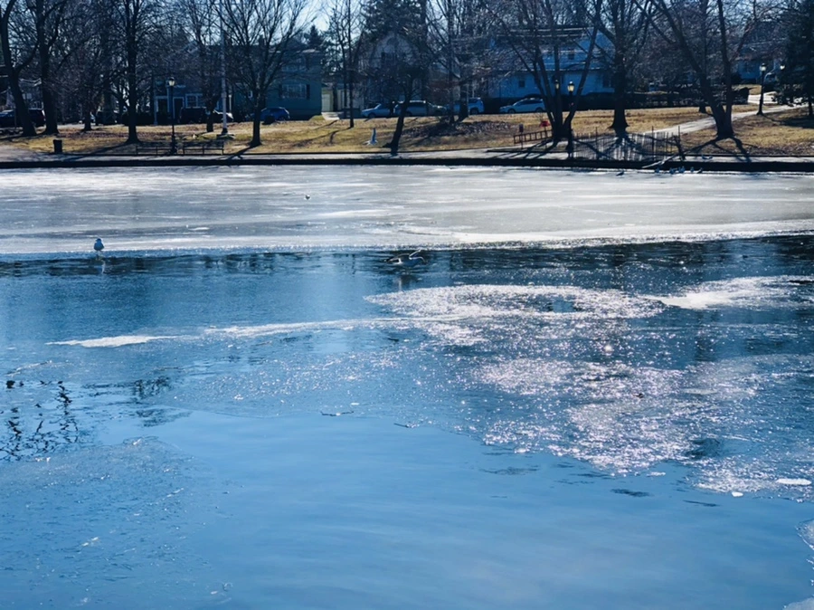 IMG_7841.jpg?type=w966