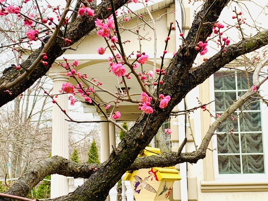 IMG_1538.jpg?type=w966