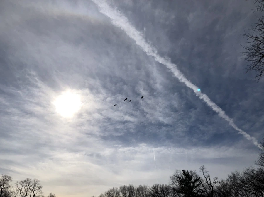 IMG_5678.jpg?type=w966