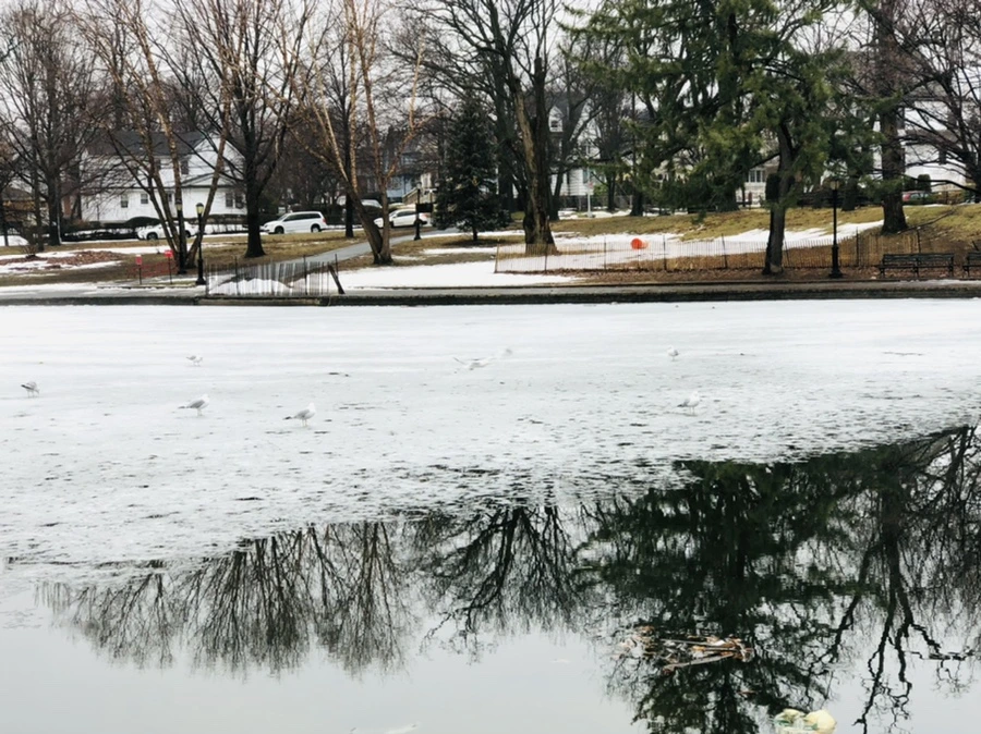 IMG_5521.jpg?type=w966