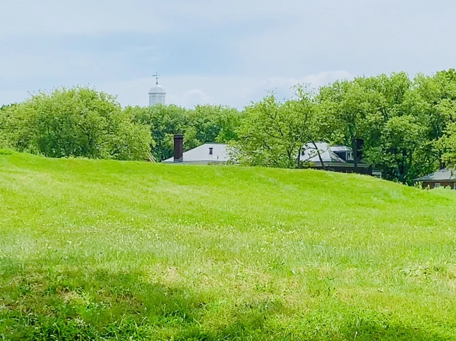 IMG_5152.jpg?type=w966