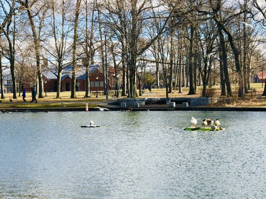 IMG_9226.jpg?type=w966