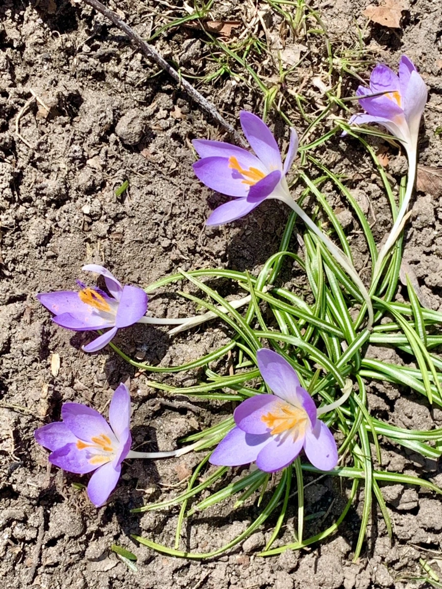 IMG_9188.jpg?type=w966