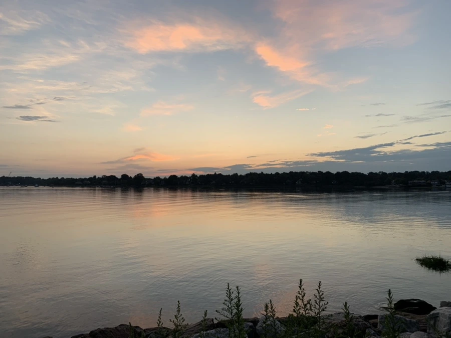 IMG_1164.jpg?type=w966