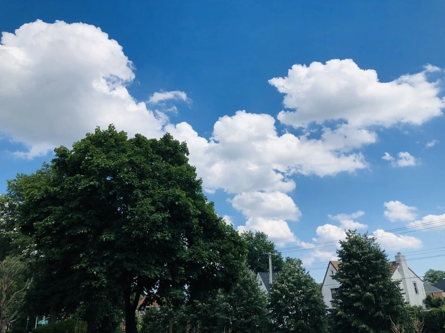 iZRSuLJsf43B1JgprHzT0tc185E