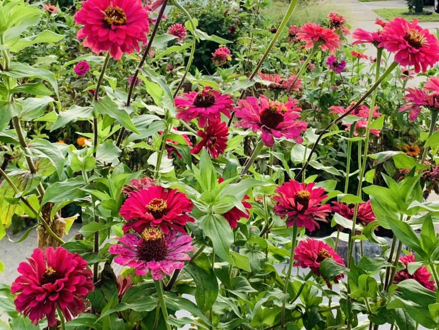 IMG_6989.jpg?type=w966