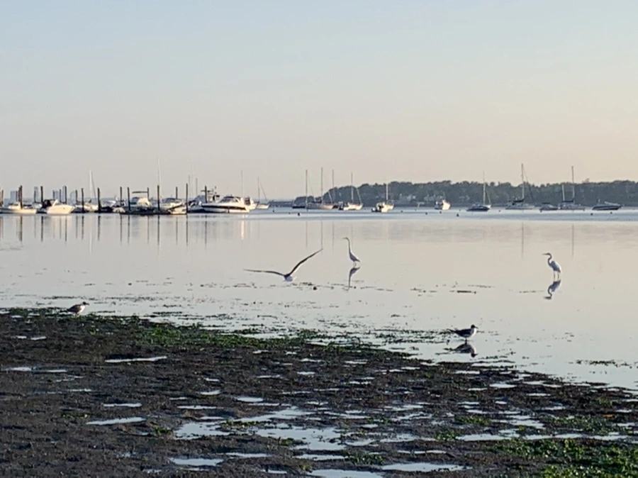 IMG_0395.jpg?type=w966