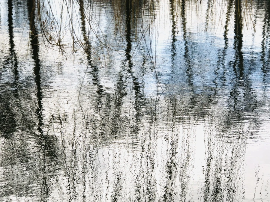 IMG_9895.jpg?type=w966