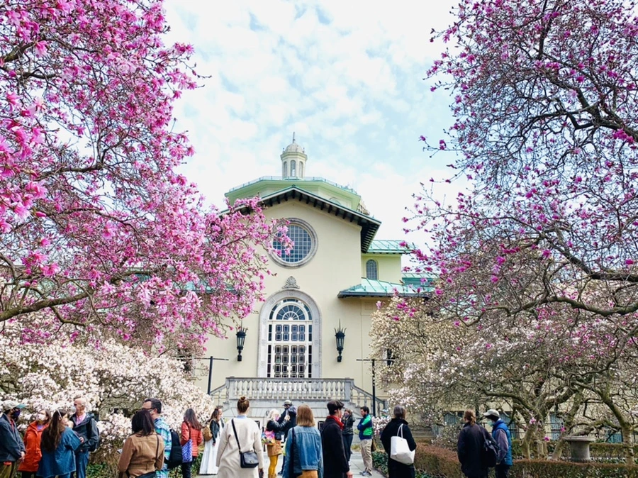 IMG_7224.jpg?type=w966