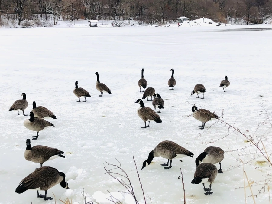 IMG_9490.jpg?type=w966