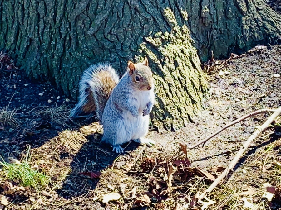 IMG_6945.jpg?type=w966