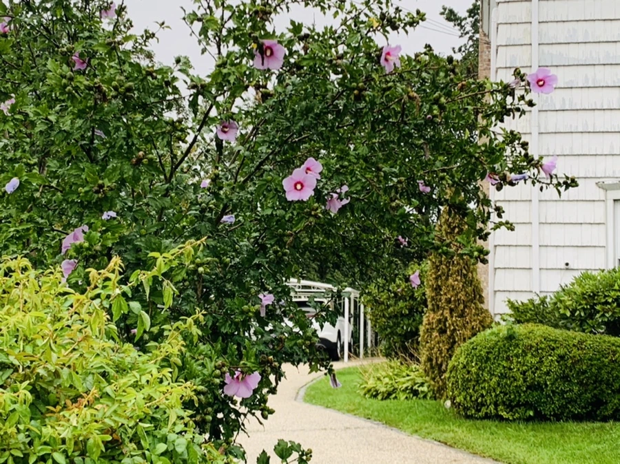 IMG_3744.jpg?type=w966