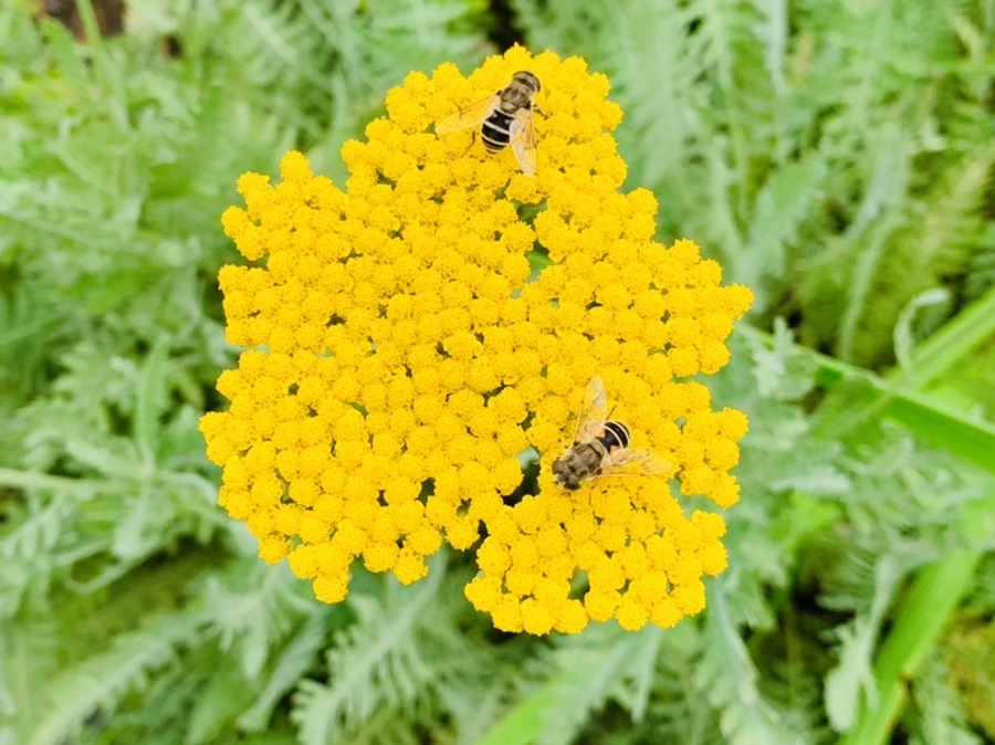 IMG_2630.jpg?type=w966