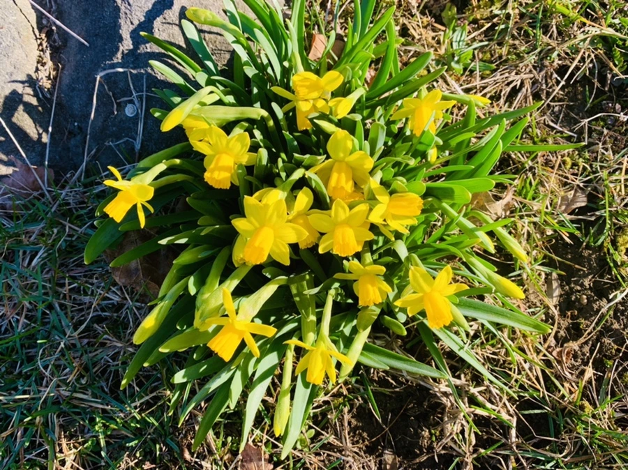 IMG_2573.jpg?type=w966