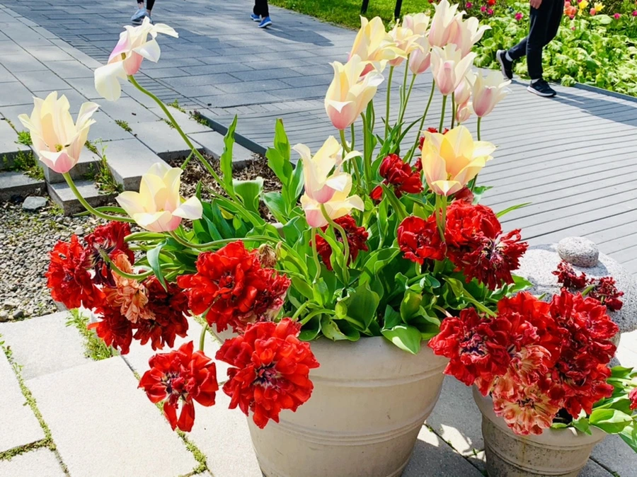 IMG_6905.jpg?type=w966