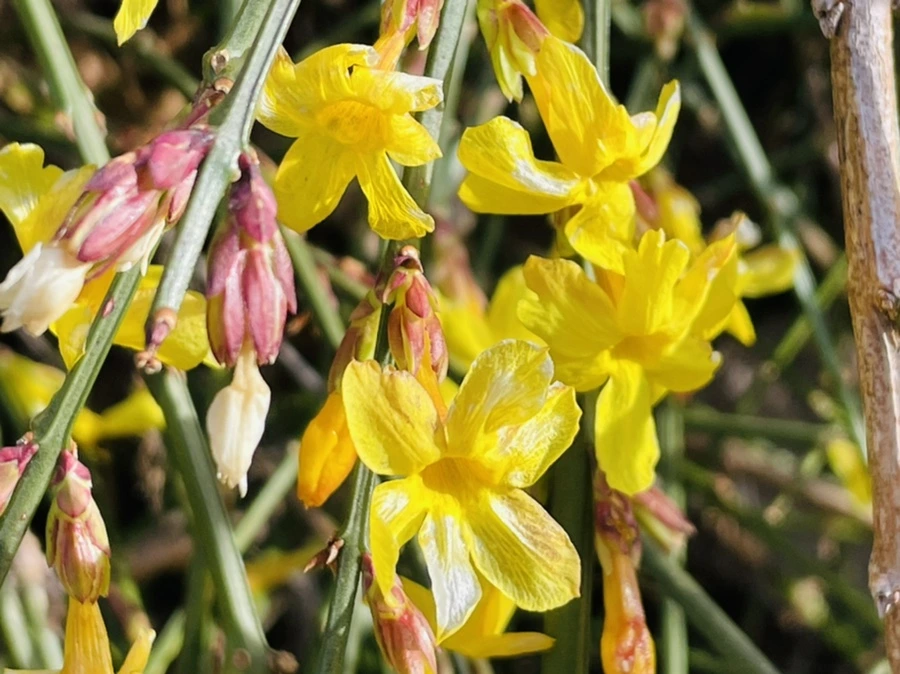 IMG_5390.jpg?type=w966