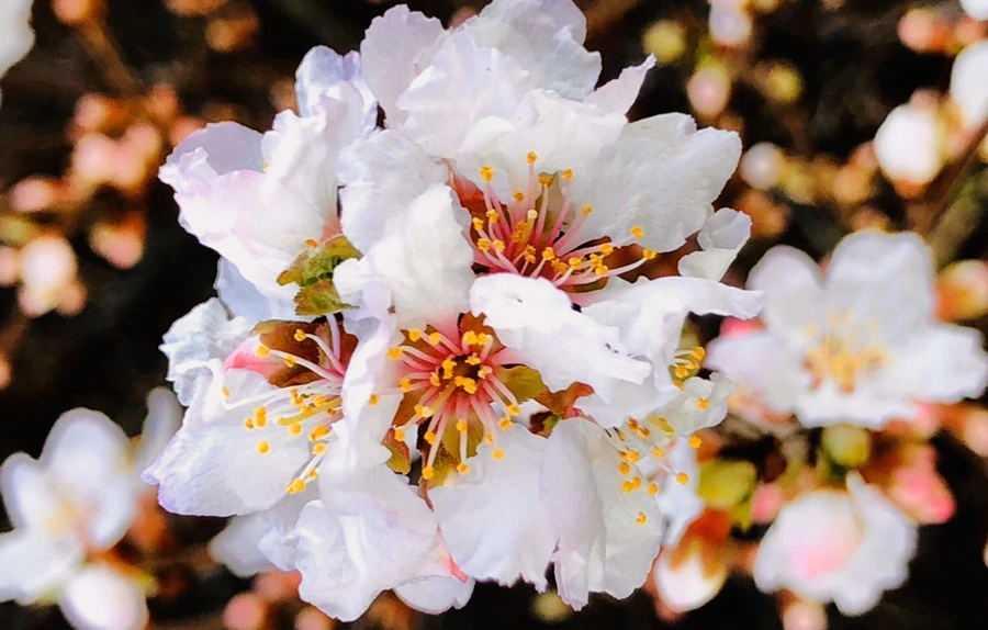 IMG_6441.jpg?type=w966