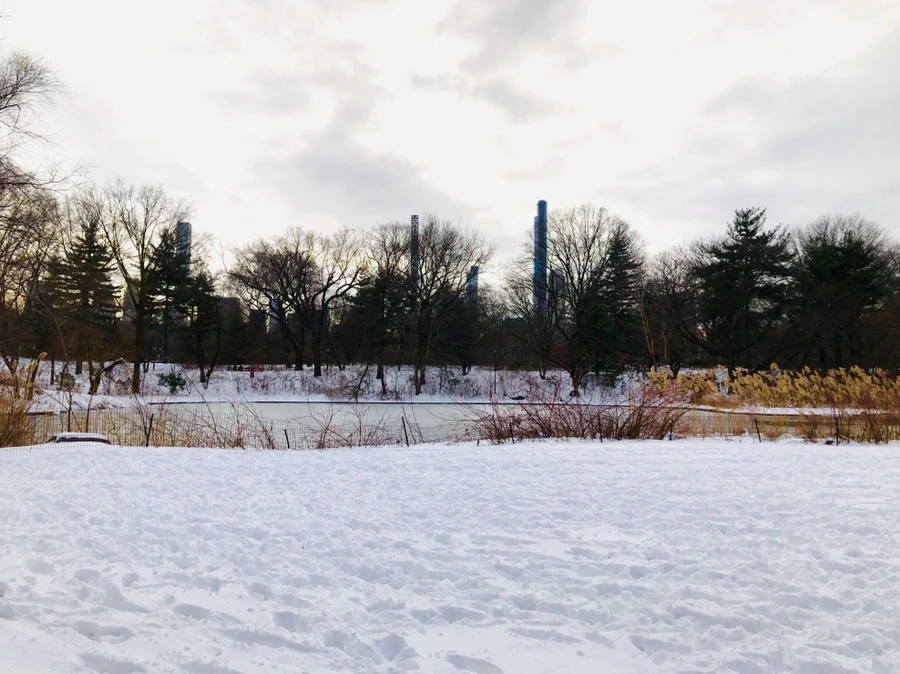 IMG_7330.jpg?type=w966