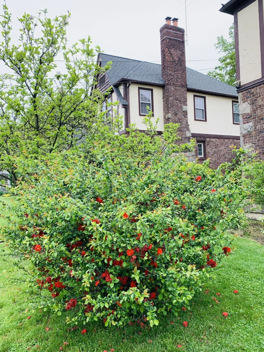 IMG_0994.jpg?type=w966