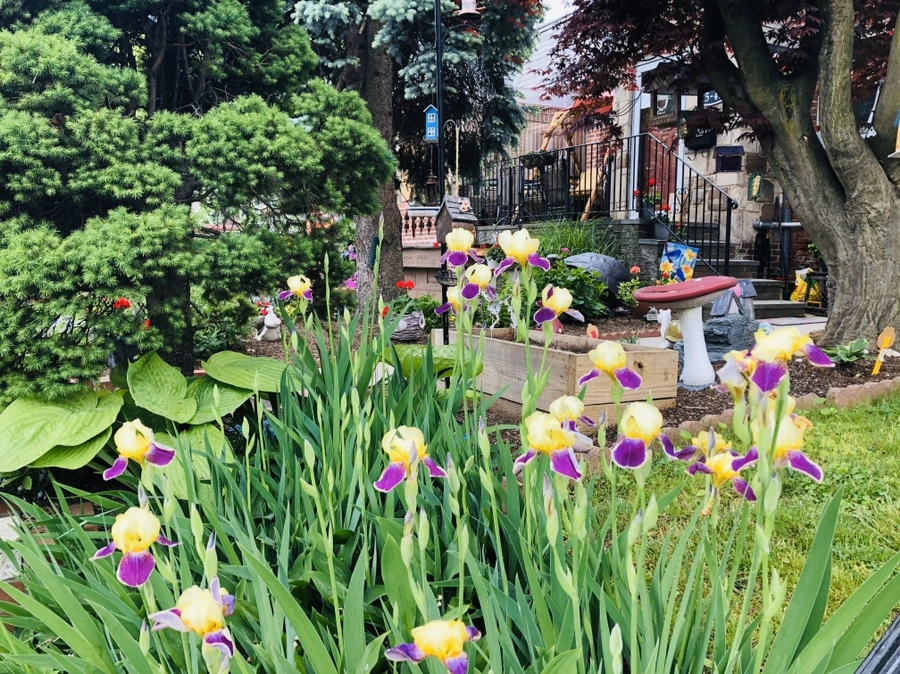 IMG_7433.jpg?type=w966