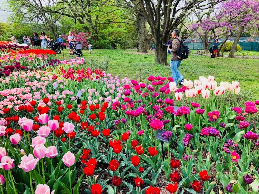 rtQK1kNz-SDoWag66ktNhxMdJTo