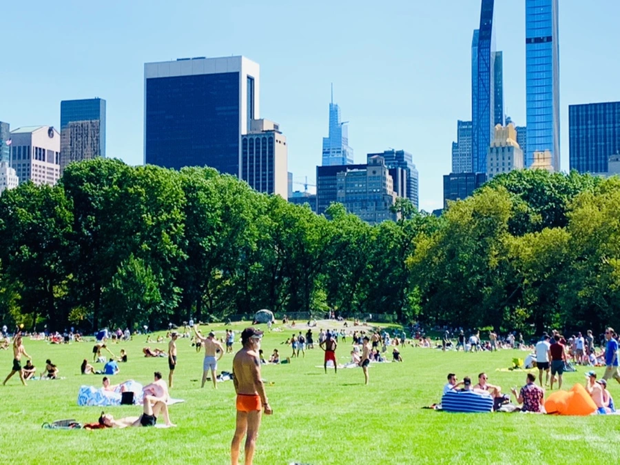 IMG_4397.jpg?type=w966