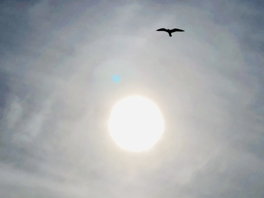 IMG_3112.jpg?type=w966