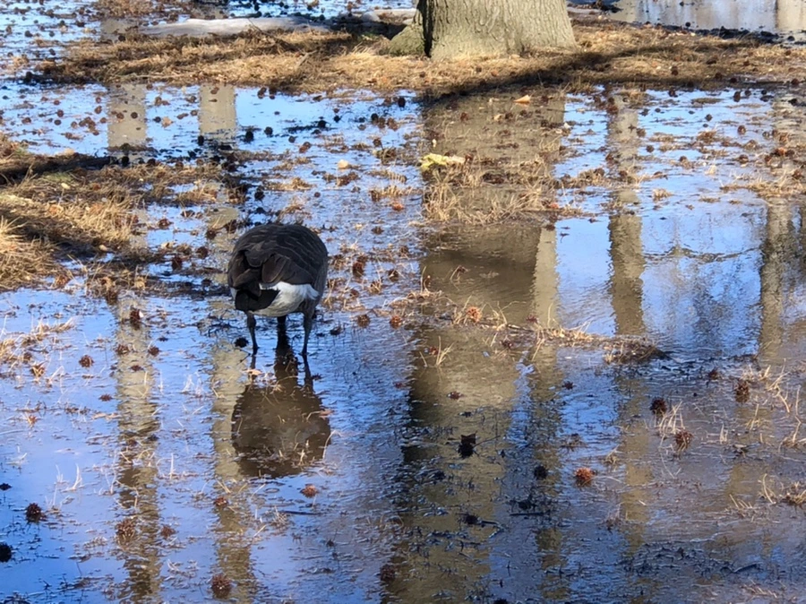 IMG_4977.jpg?type=w966