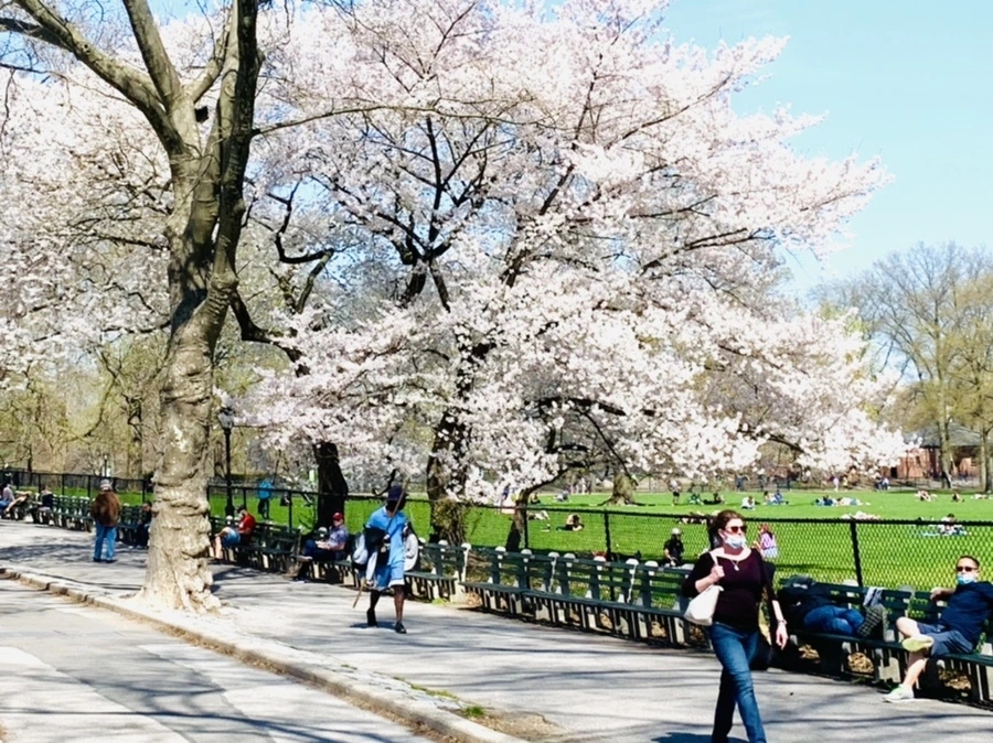 IMG_8916.jpg?type=w966