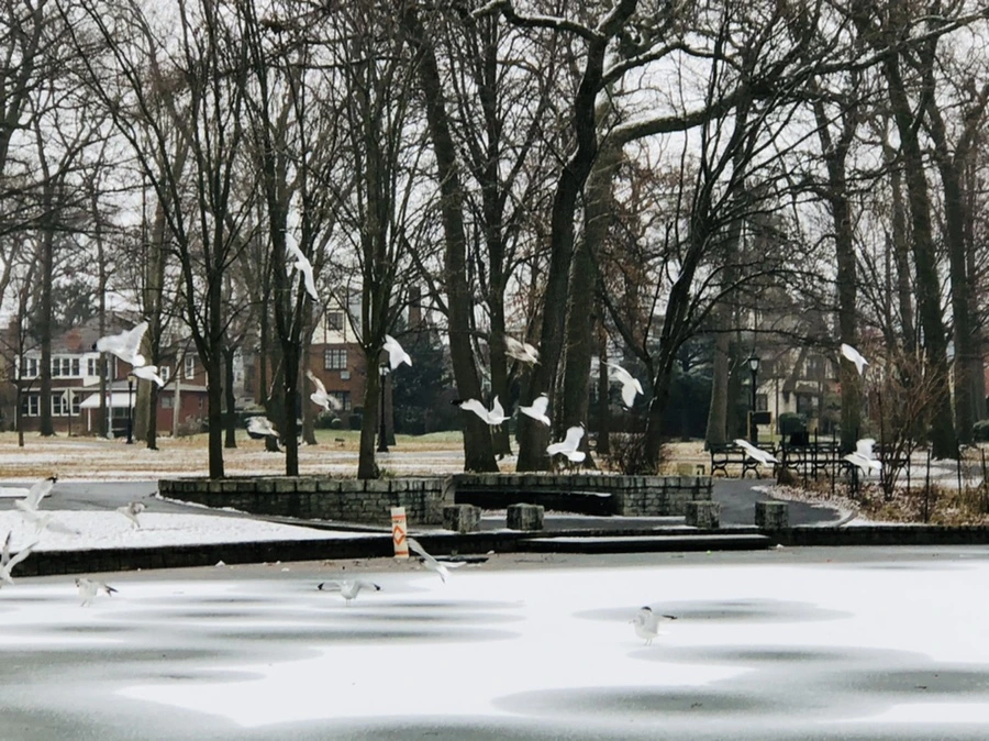 IMG_6257.jpg?type=w966