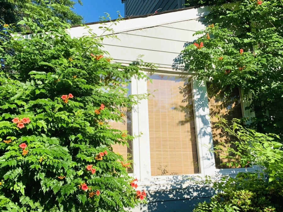 IMG_6223.jpg?type=w966