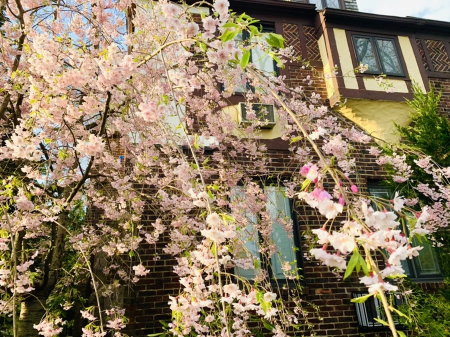 IMG_3786.jpg?type=w966