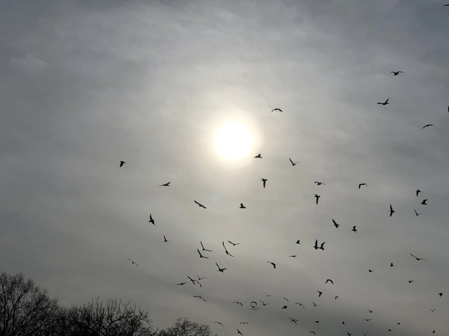 IMG_1997.jpg?type=w966