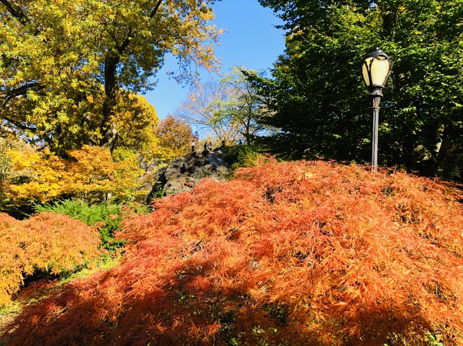 IMG_3774.jpg?type=w966