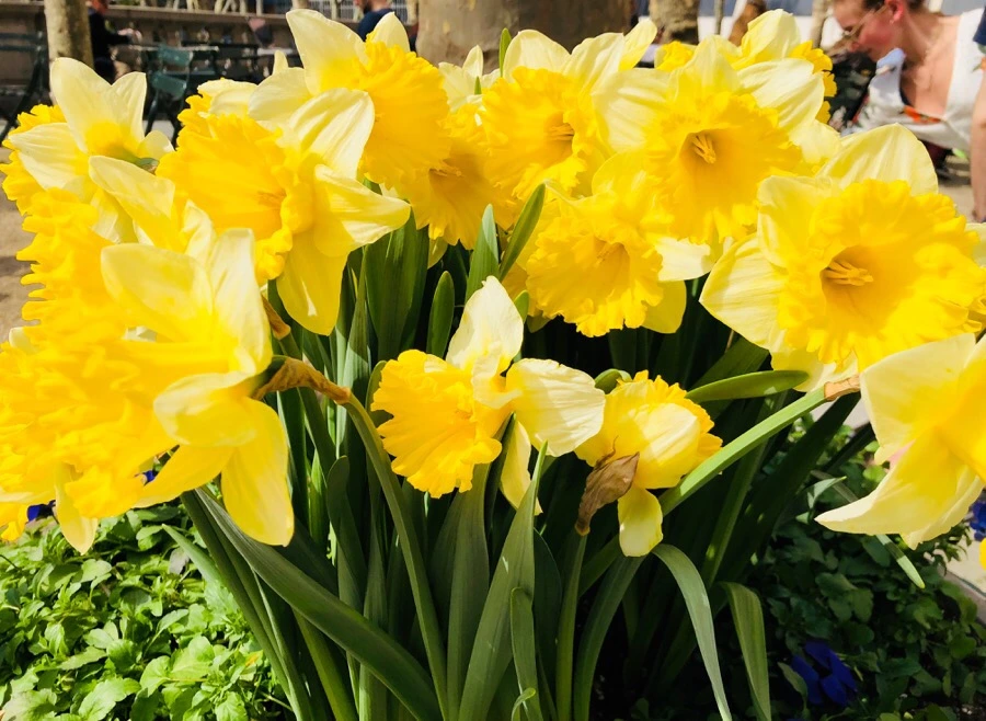 IMG_4370.jpg?type=w966