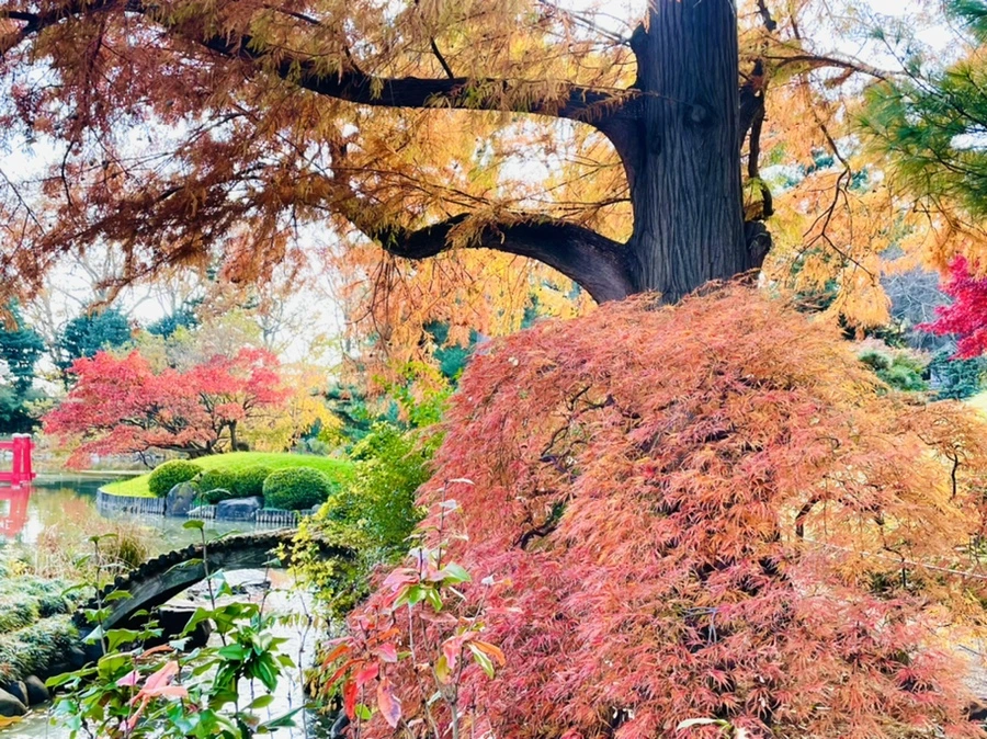 IMG_3092.jpg?type=w966