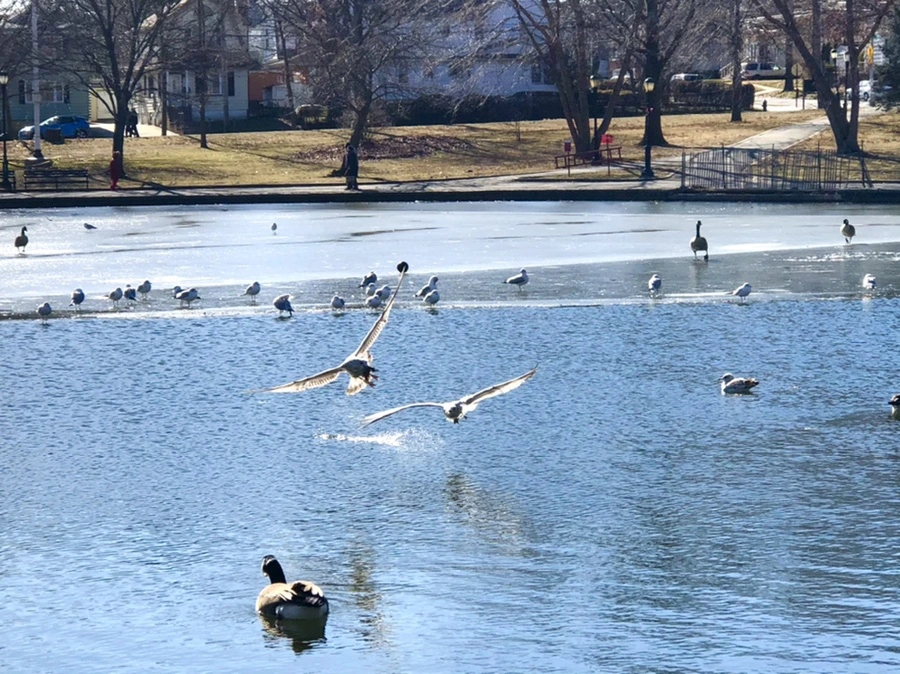 IMG_6655.jpg?type=w966