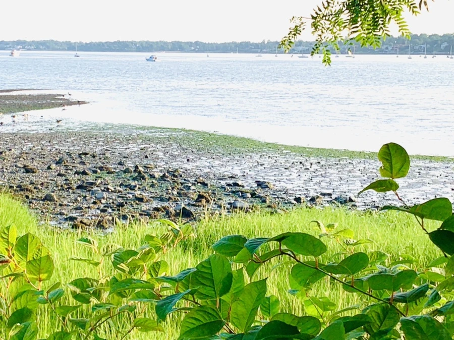 IMG_9838.jpg?type=w966