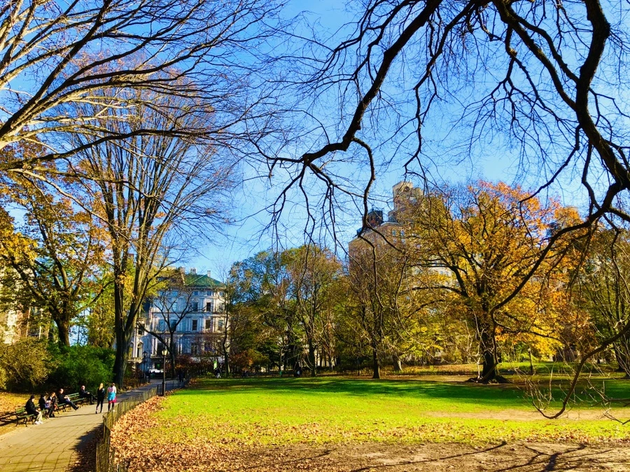 IMG_5307.jpg?type=w966