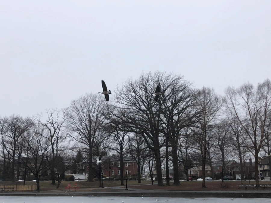 IMG_5633.jpg?type=w966