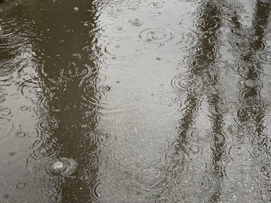 IMG_2030.jpg?type=w966