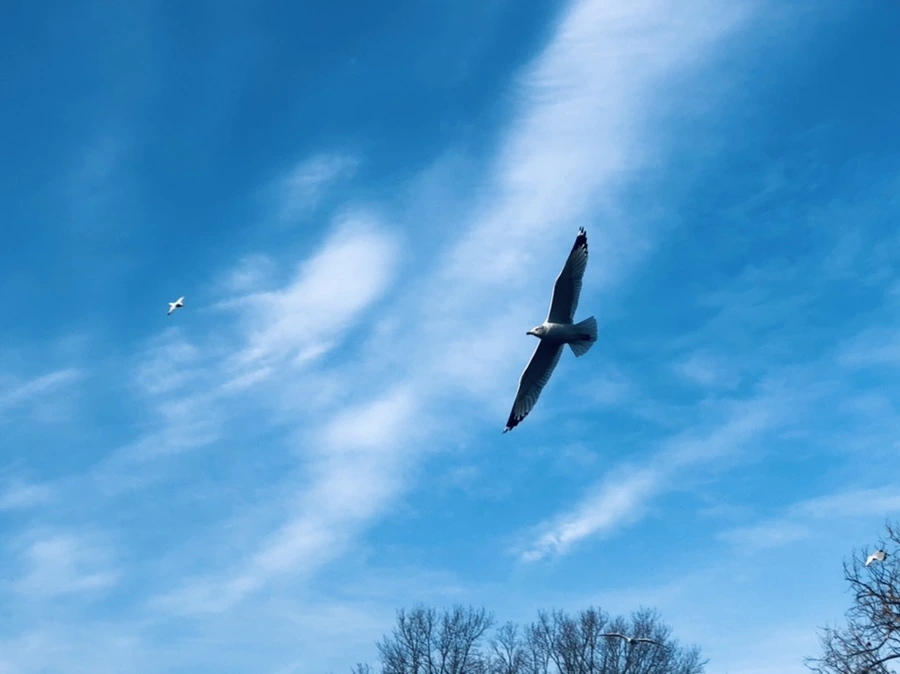 IMG_2618.jpg?type=w966