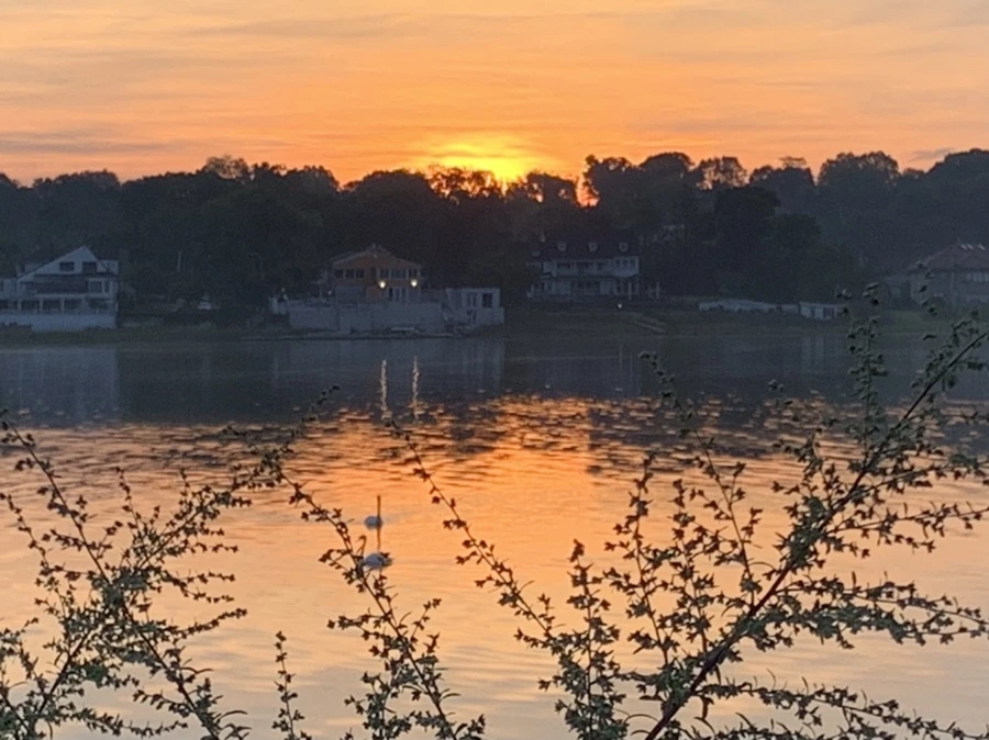 IMG_6813.jpg?type=w966