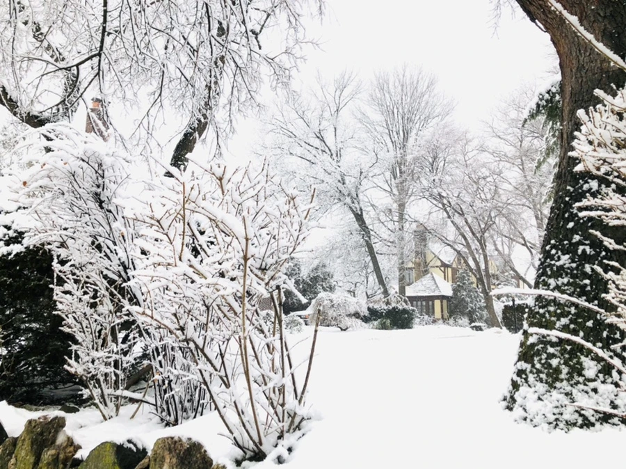 IMG_1017.jpg?type=w966