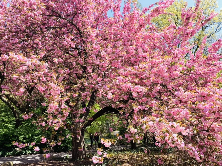 IMG_6384.jpg?type=w966