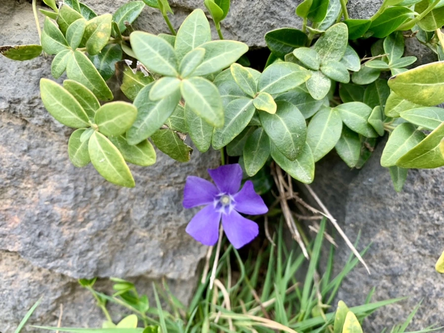 IMG_3437.jpg?type=w966