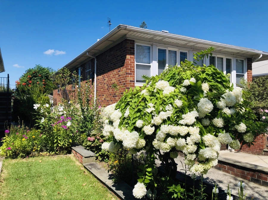 IMG_8429.jpg?type=w966