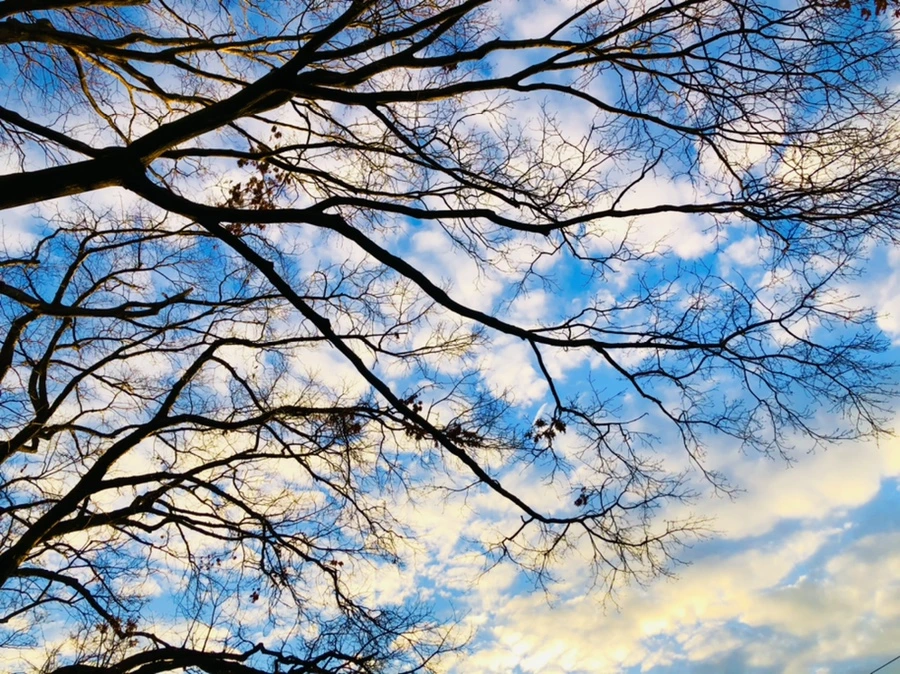 IMG_4861.jpg?type=w966