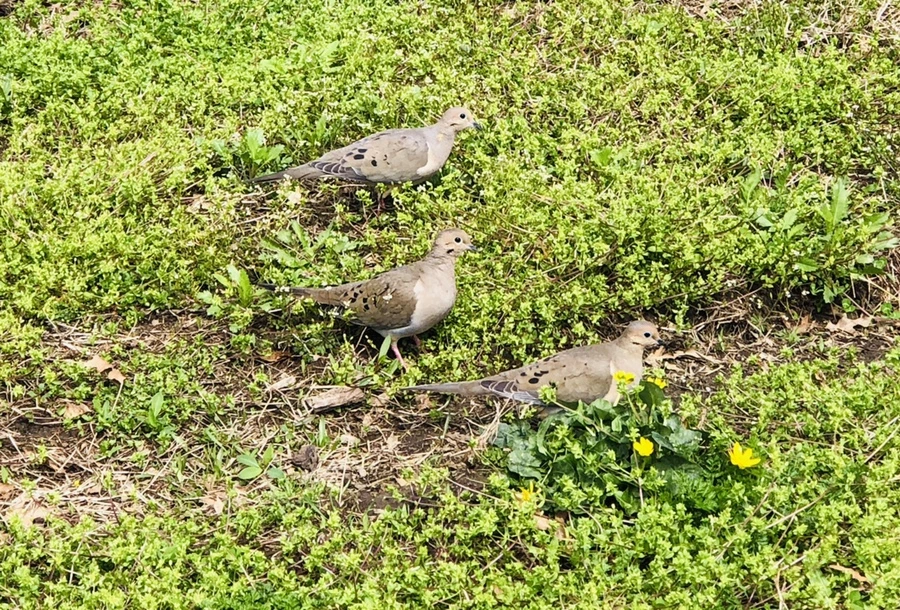 IMG_3091.jpg?type=w966